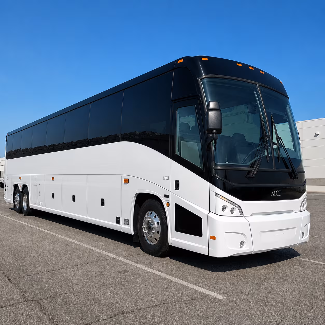 minibuses and charter buses to pompeys pillar and the yellowstone corridor
